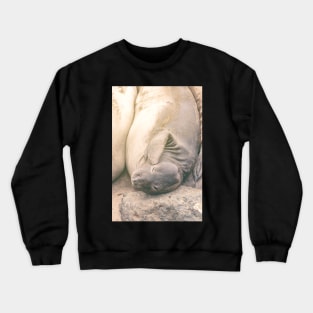 Scratchy Crewneck Sweatshirt